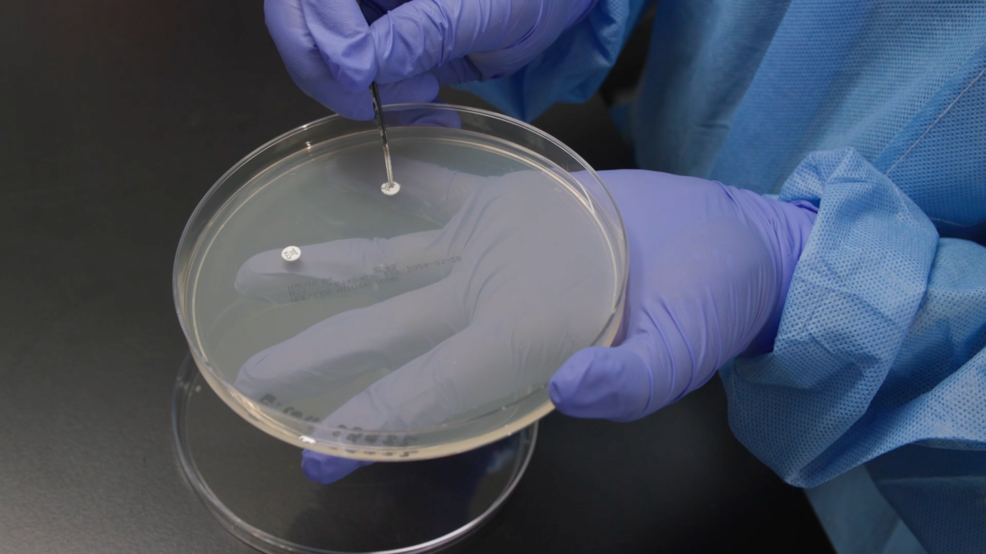 Microbial sensitivity testing